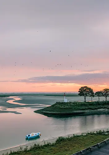 Article similaires - La Baie de Somme