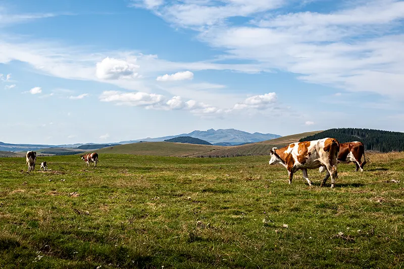 L'auvergne