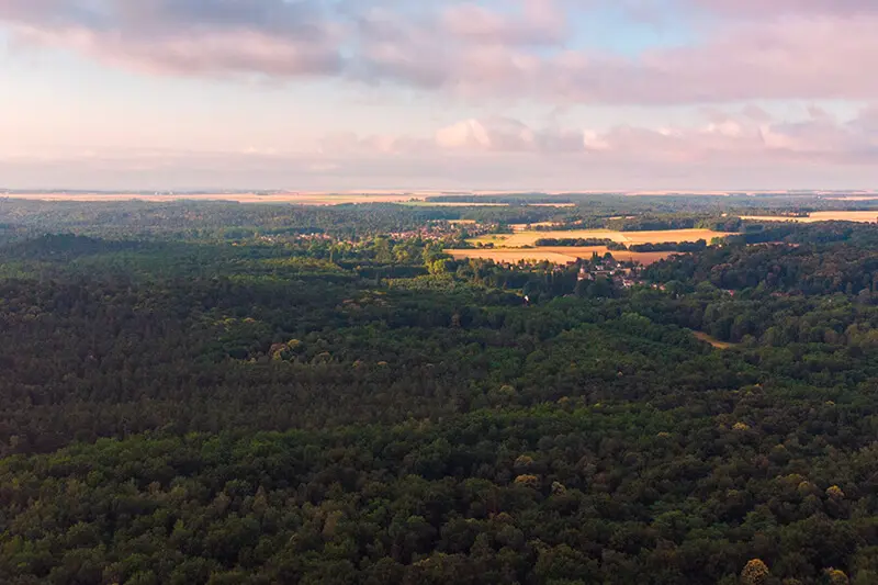 La forêt et le château de Fontainebleau