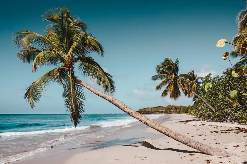 Voyage en Martinique