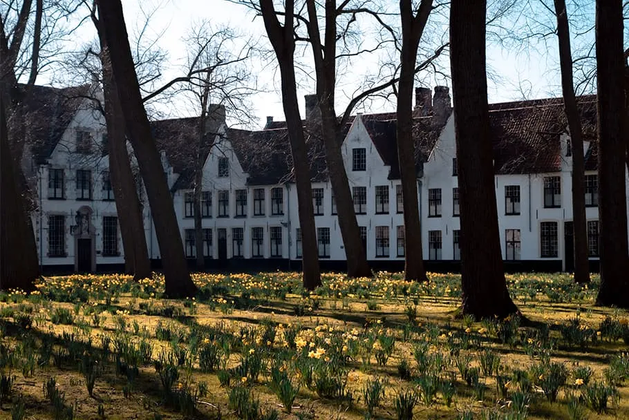 Le Béguinage à Bruges