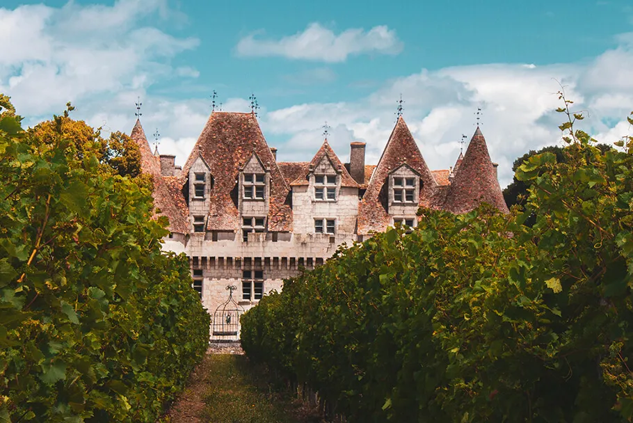 Les vignes de Monbazillac