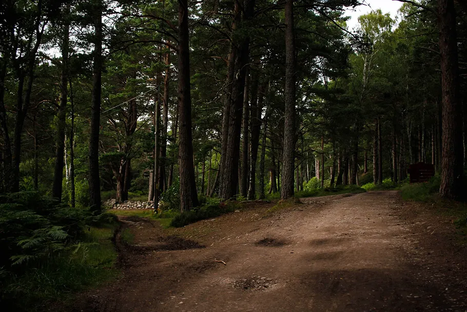 Un des nombreux lac dans le parc des Cairngorms