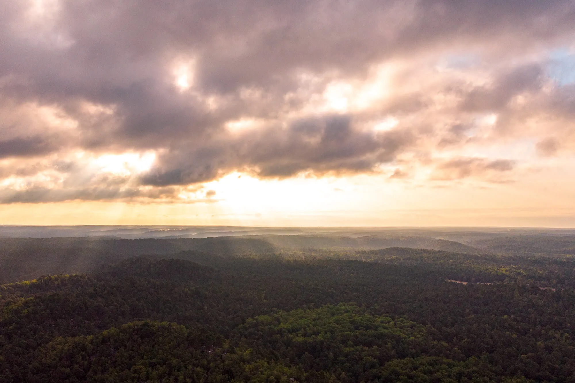 Lever de soleil sur la forêt de Fontainebleau