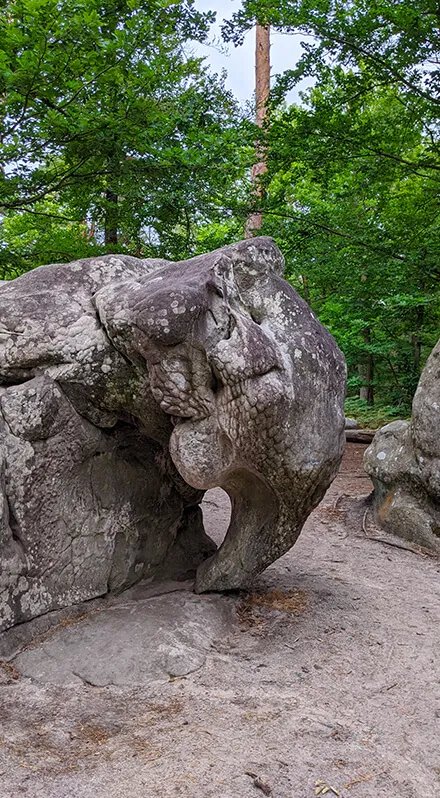 La roche en forme d'éléphant de Barbizon