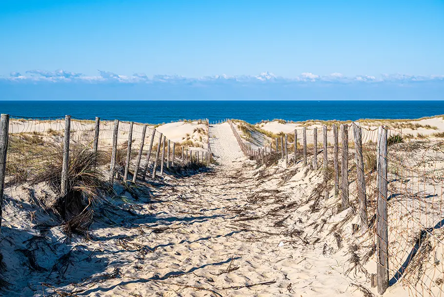 Les Dunes du Cap Ferret