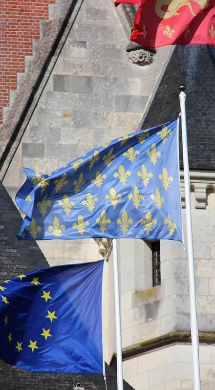 Drapeaux à la fleur de Lys