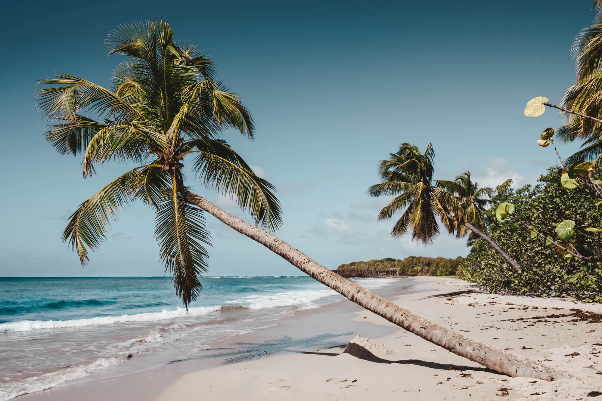 Plage de sable fin en Martinique