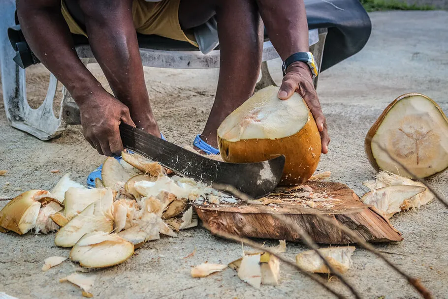 Vente de noix de coco en Martinique