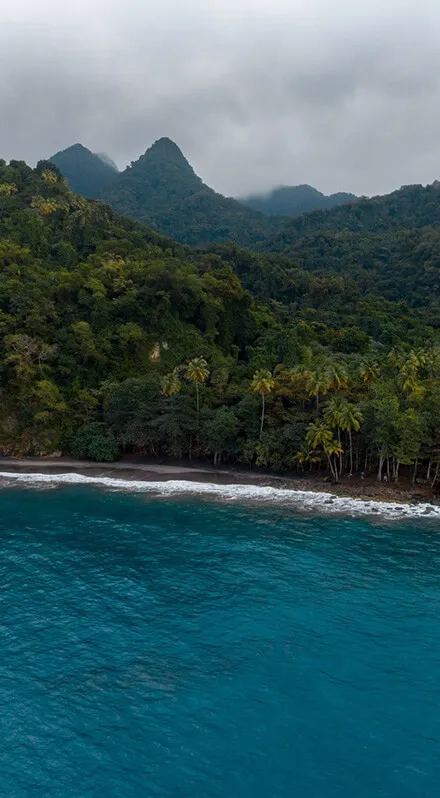 Eaux turquoises en Martinique