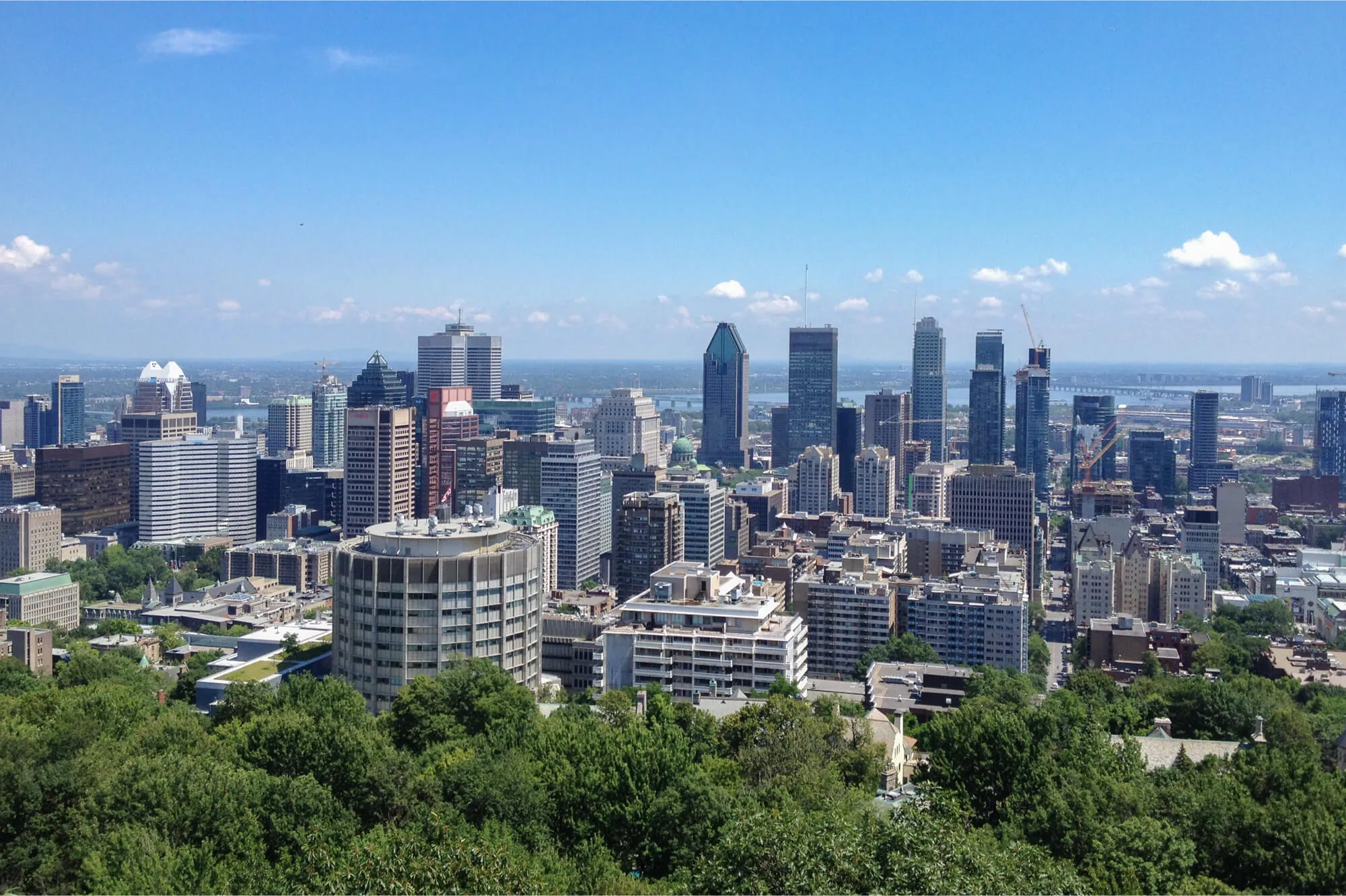 Skyline de Montréal depuis le haut du Mont Royal