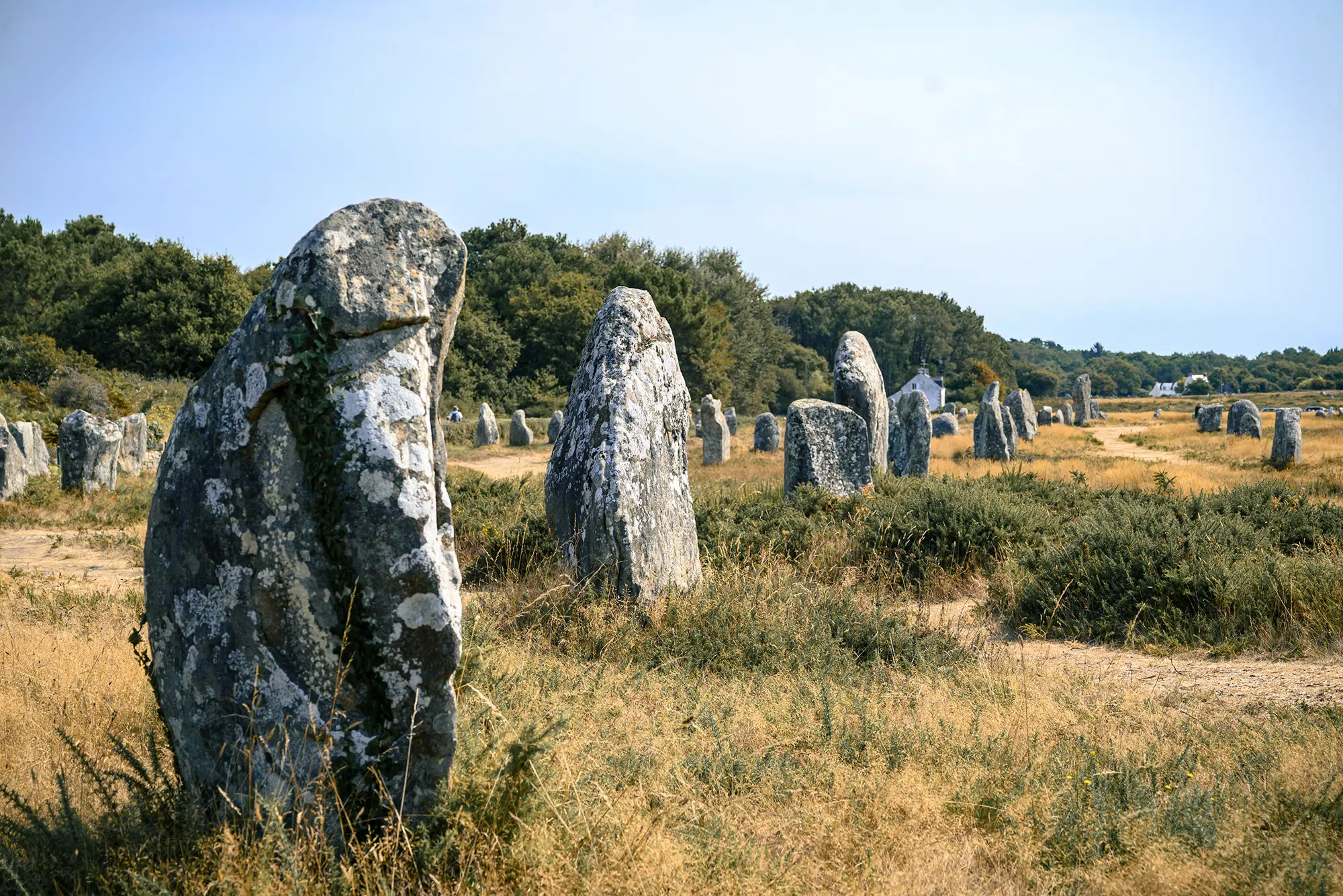 Les alignements de Carnac