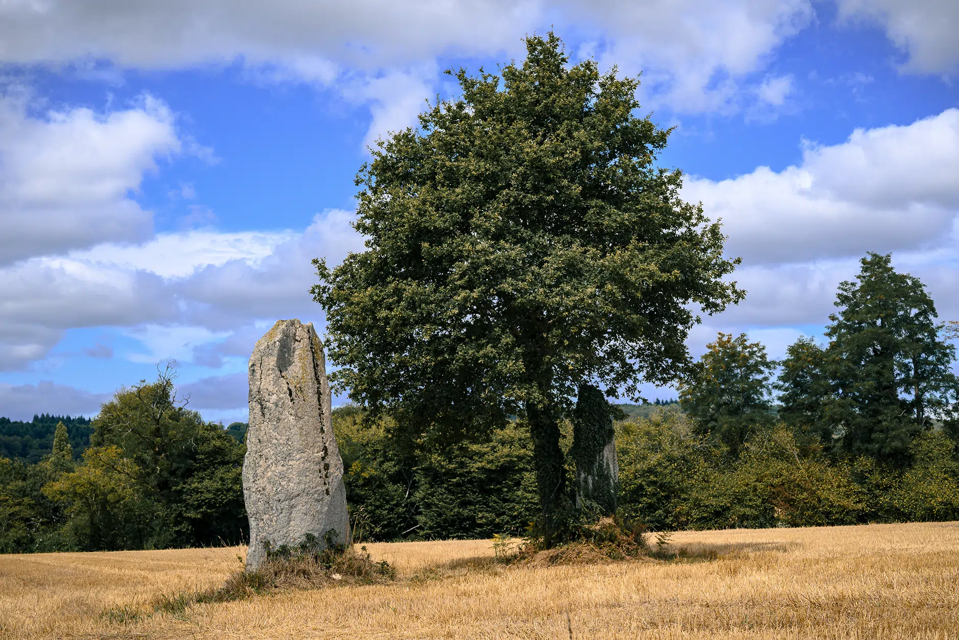 Menhir de Kernars