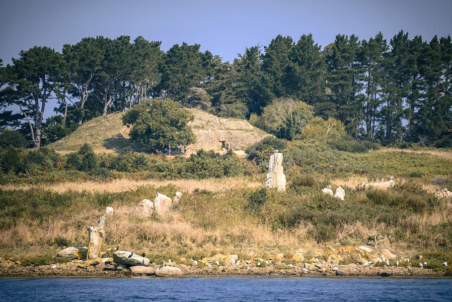 Alignements et cairn de Gavrinis