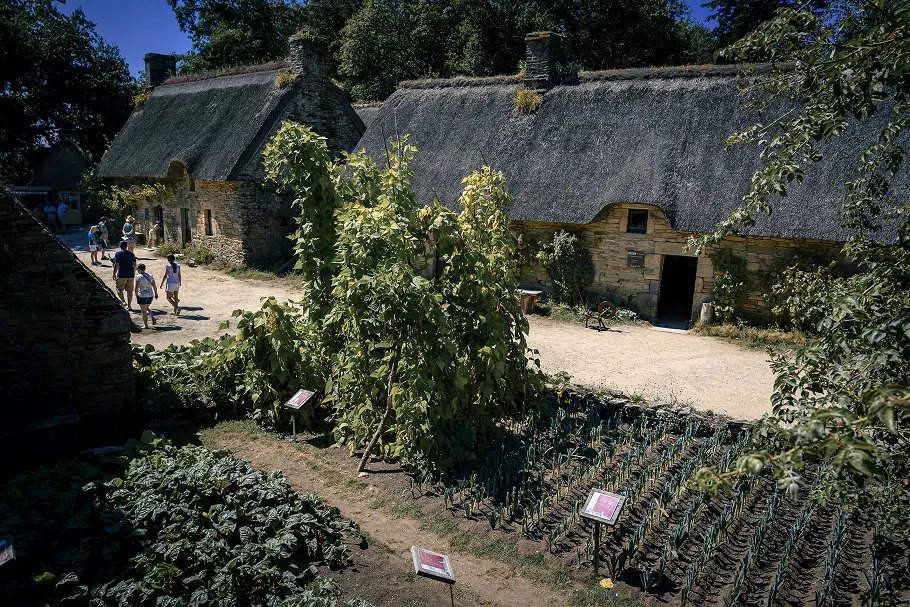 Potager à Poul-Fetan