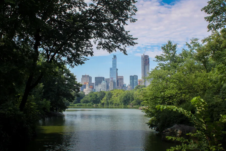 Building de New-York vus depuis Central Park