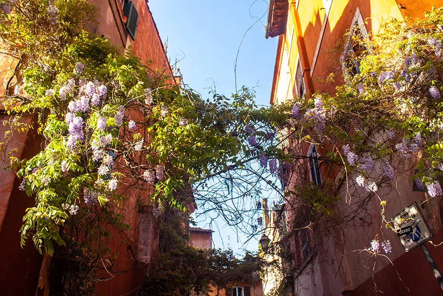 Le quartier Trastevere