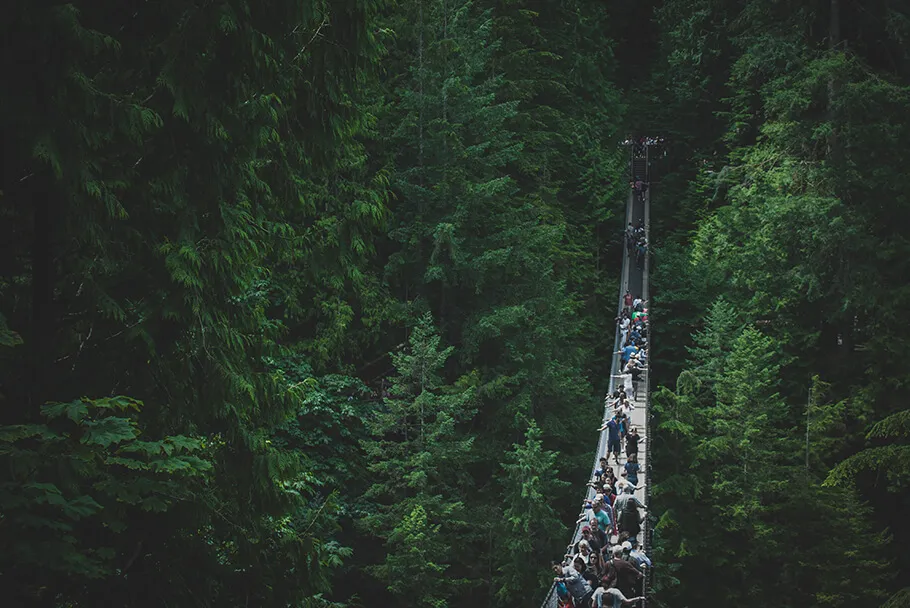 Capilano Bridge