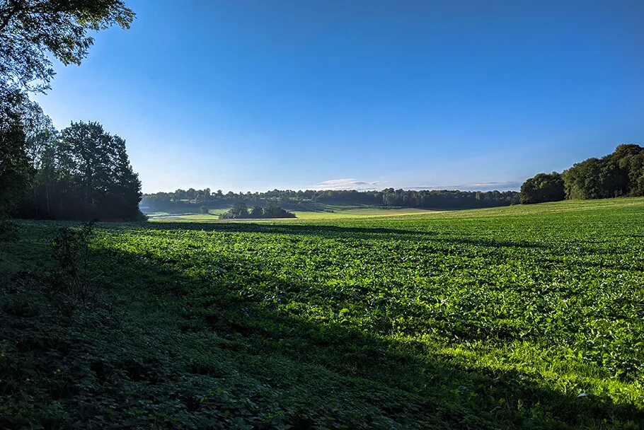 La campagne dans le Vexin