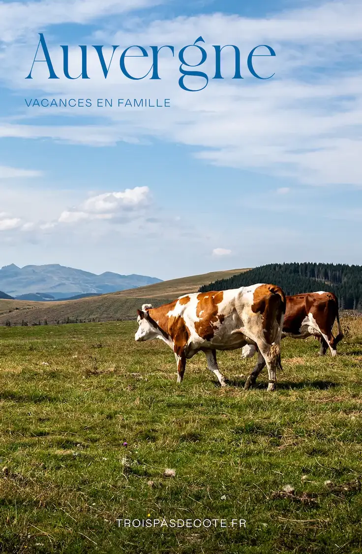 Image de partage sur Pinterest