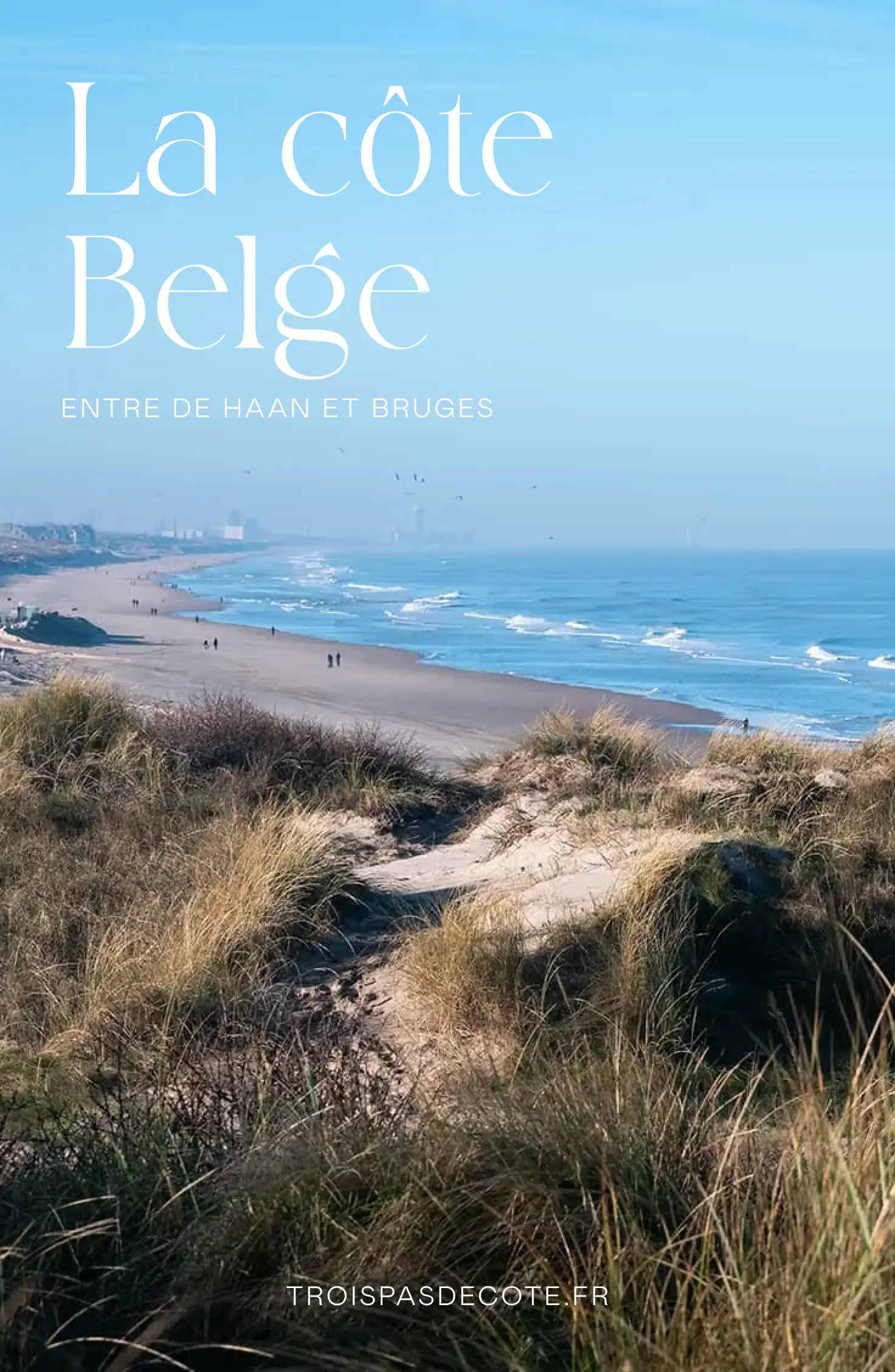 Image de partage sur Pinterest