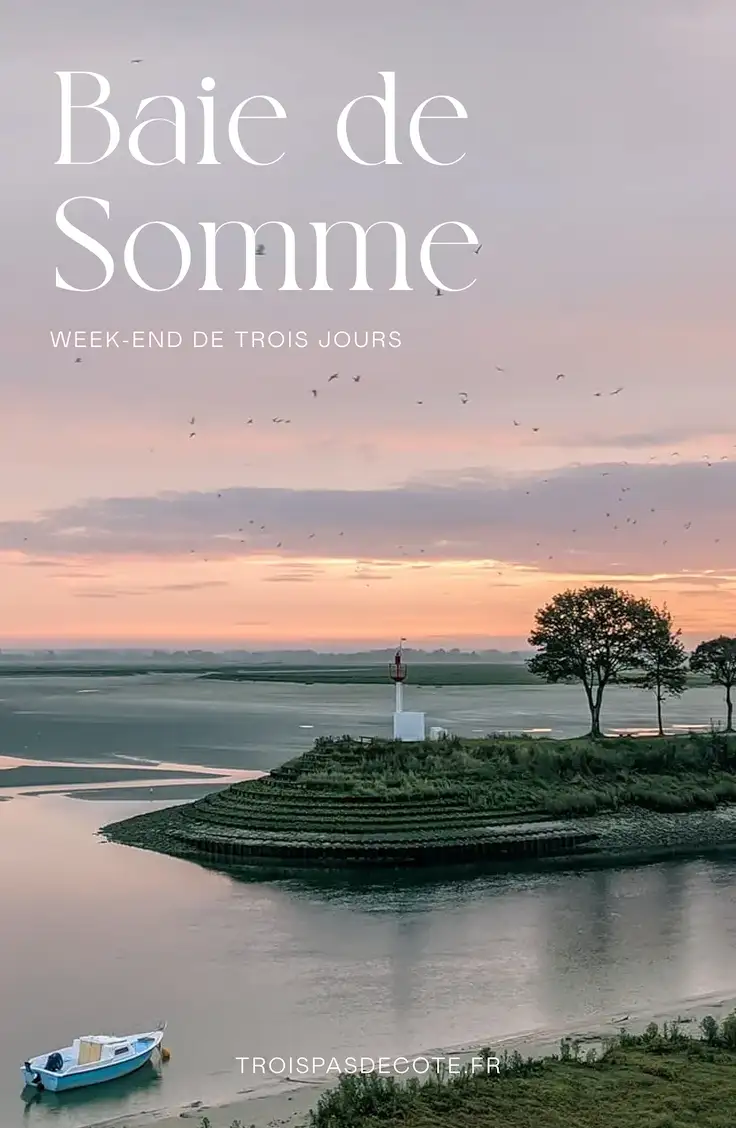 Image de partage sur Pinterest